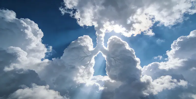 临汾肺癌12基因ctDNA突变检测(血液）图片1