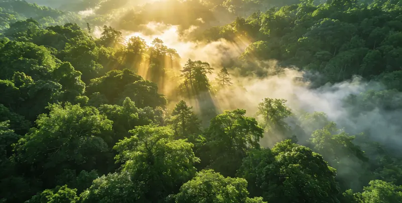 临汾肺癌甲基化检测图片1
